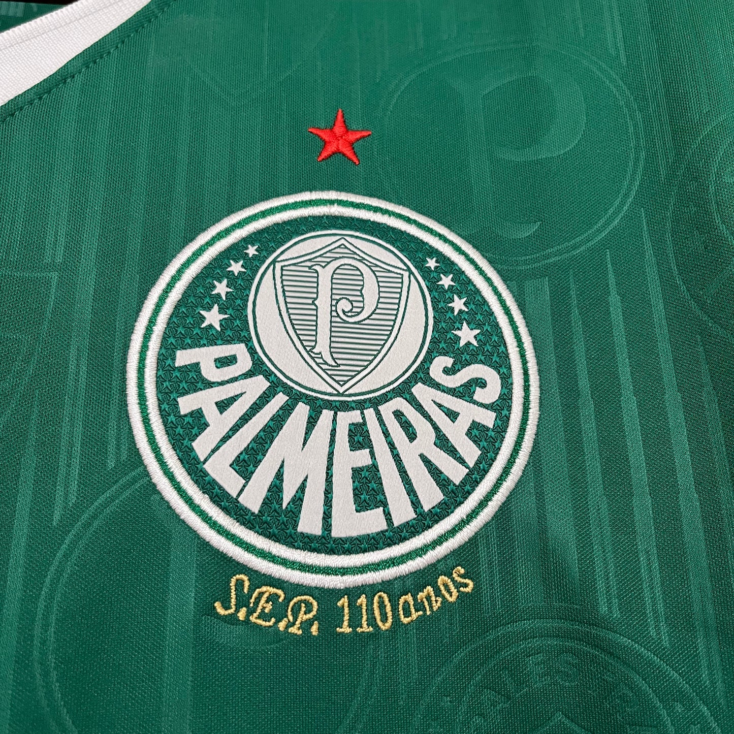 2025-25 Palmeiras Home Soccer Jersey